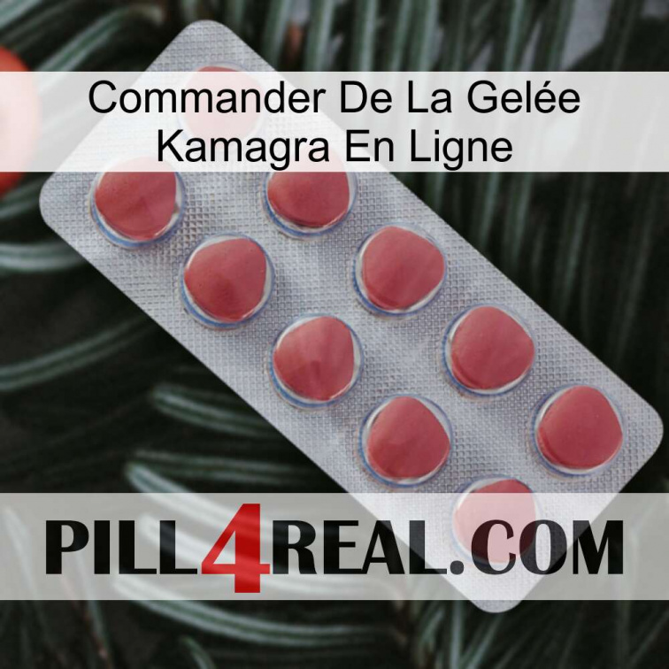 Commander De La Gelée Kamagra En Ligne 18
